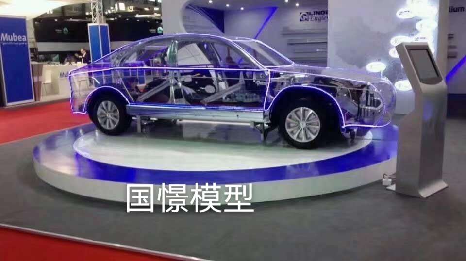 上高县透明车模型